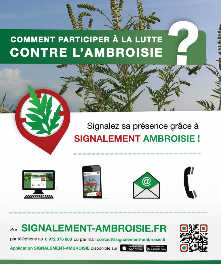 signalement AMBROSIE